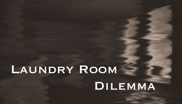 Laundry Room Dilemma