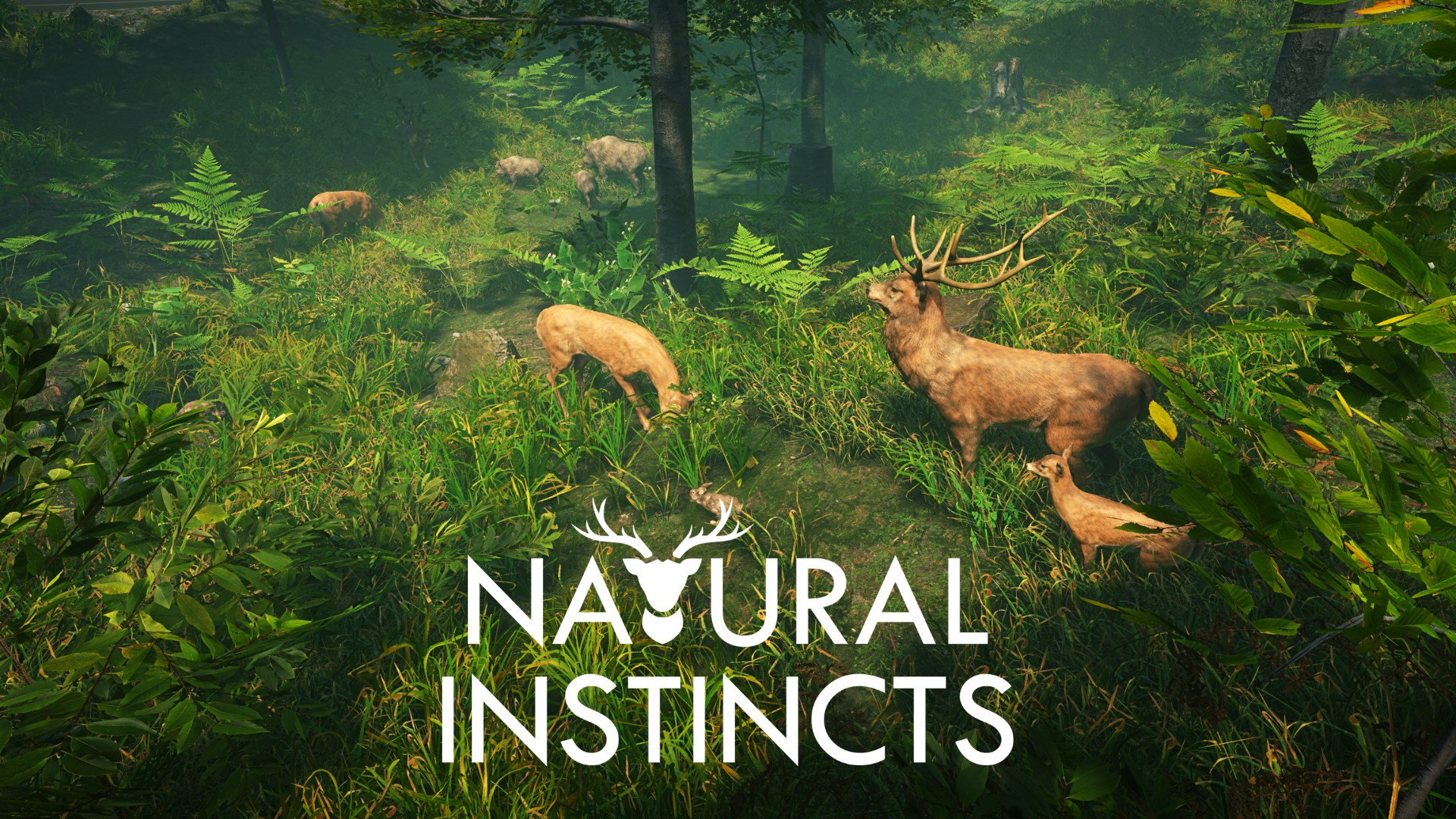 Natural Instincts