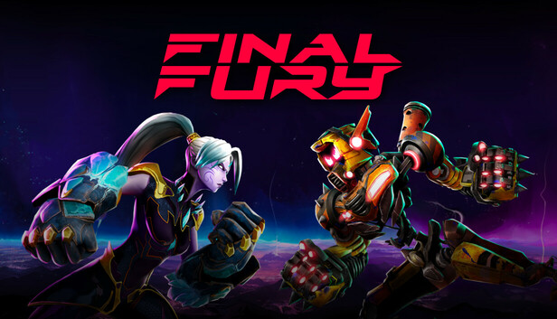 FINAL FURY