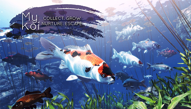 My Koi