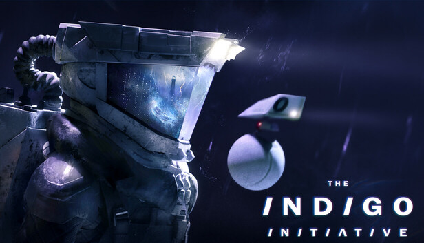 The INDIGO Initiative