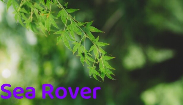 Sea Rover