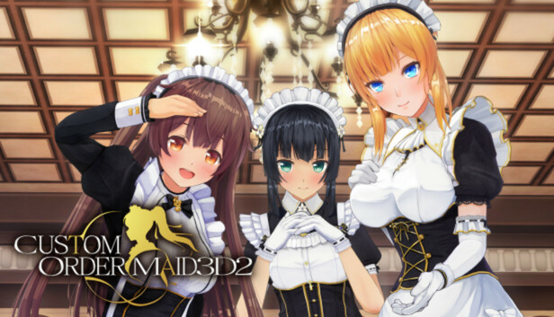 CUSTOM ORDER MAID 3D2 Friendly and Slightly Naughty Woman GP-01