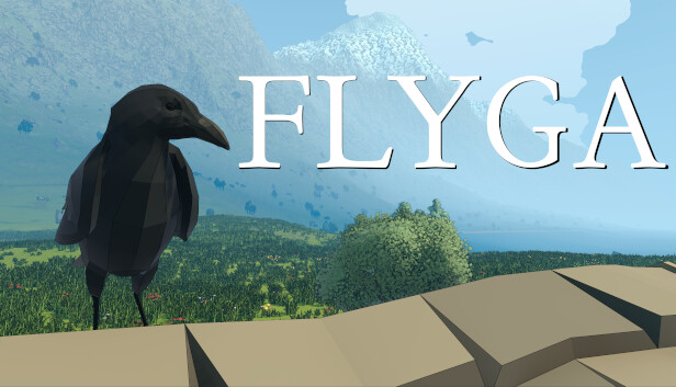 Flyga
