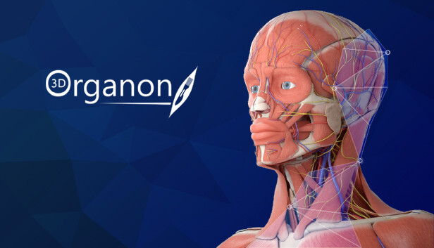 3D Organon
