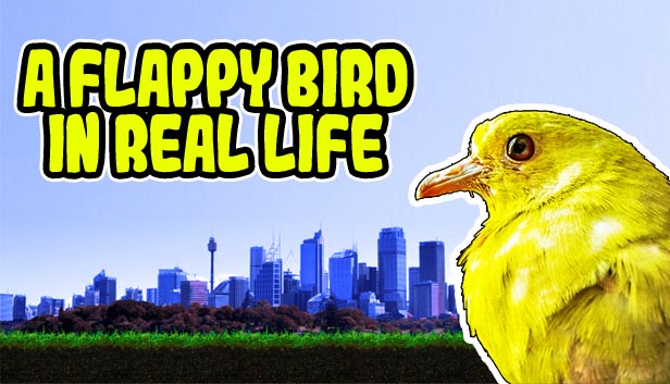 A Flappy Bird in Real Life