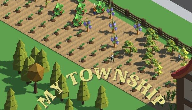 My Township