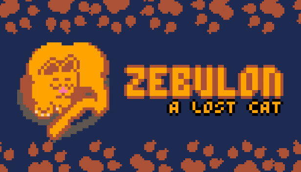 Zebulon: A Lost Cat