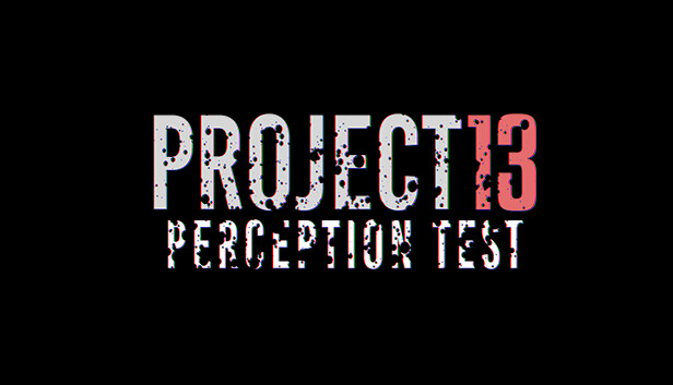 PROJECT 13 Perception Test