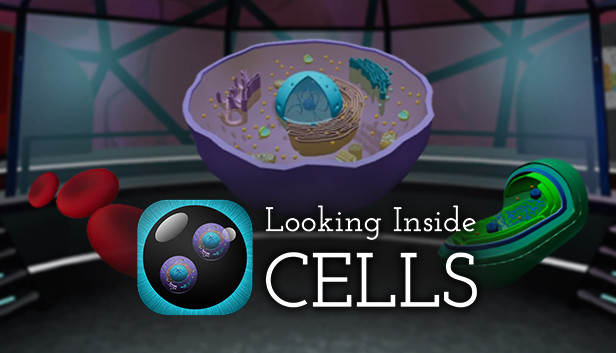 Looking Inside Cells