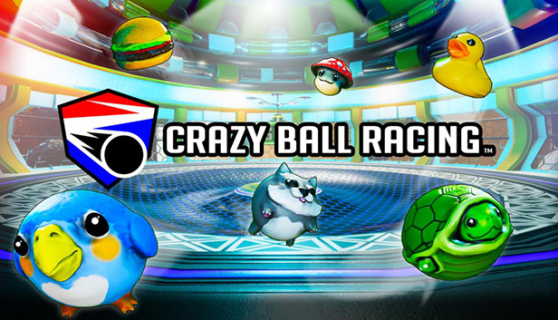 Crazy Ball Racing™