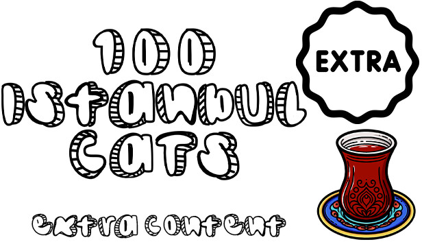100 Istanbul Cats - Extra Content