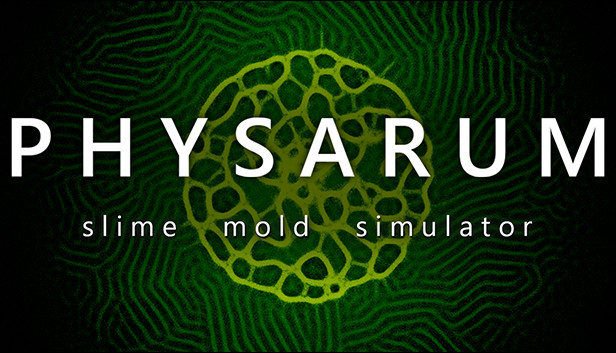 PHYSARUM: Slime Mold Simulator