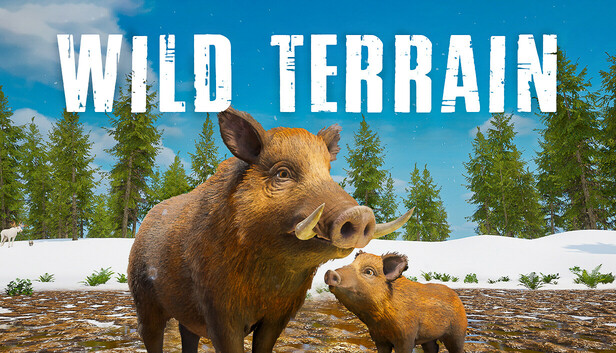 Wild Terrain