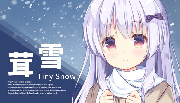 Tiny Snow