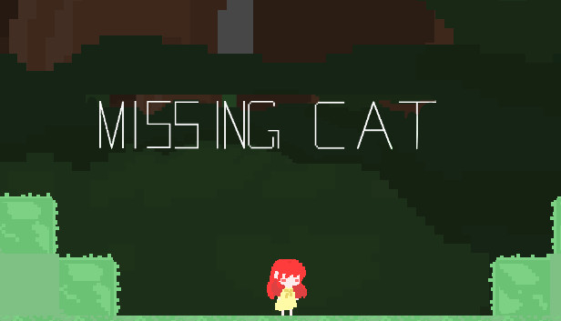 Missing Cat
