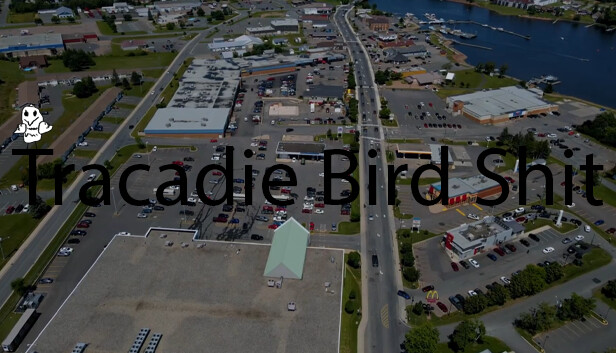 Tracadie Bird Shit