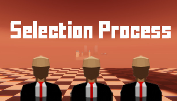 Selection Process