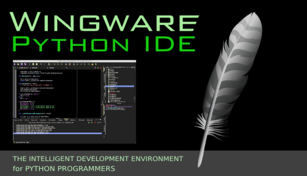 Wing IDE 5 - Commercial Use