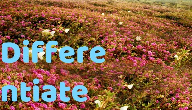 Differentiate