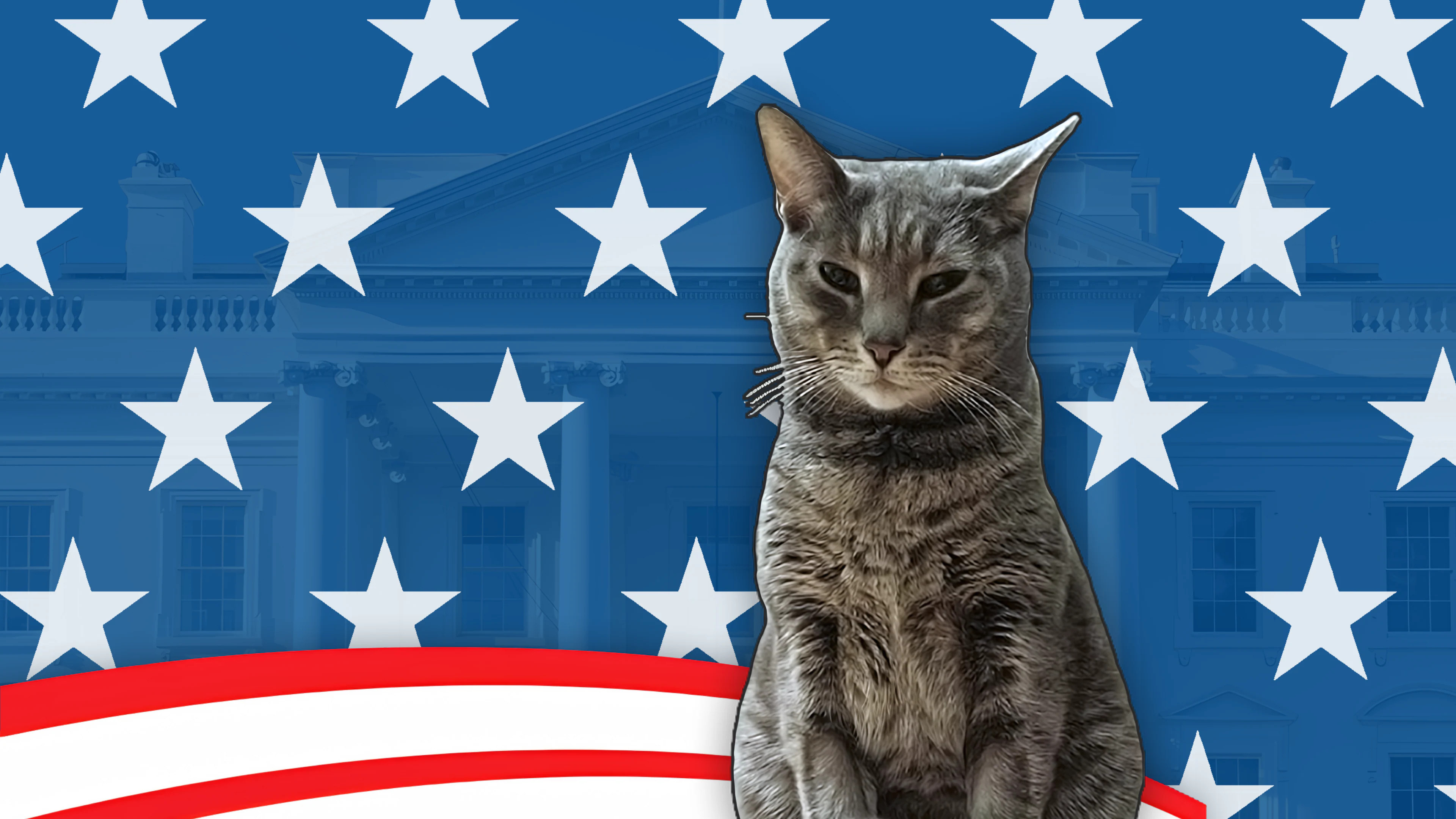 Cat President: A More Purrfect Union
