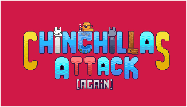 Chinchillas Attack Again