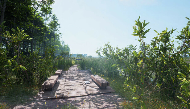 Virtual Nature