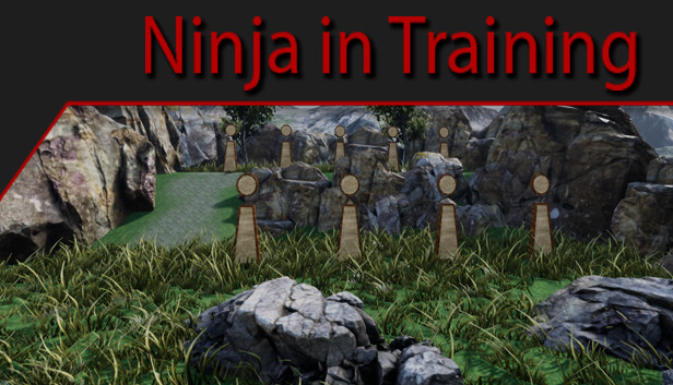 Ninja in Training