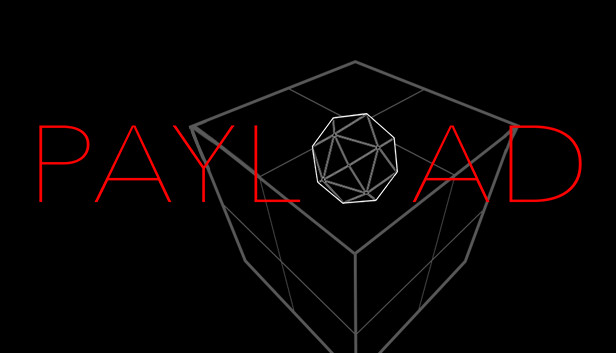 Payload