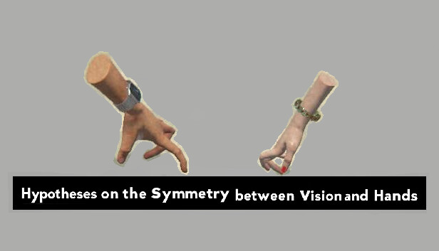 Hypotheses on the Symmetry between Vision and Hands
