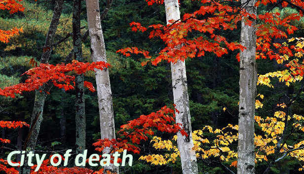 City of death