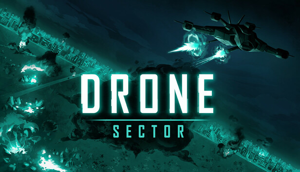 Drone Sector