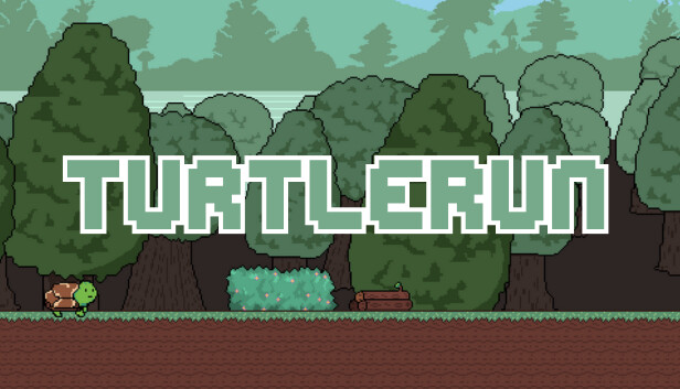 TurtleRun