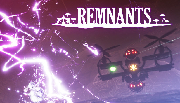 Remnants