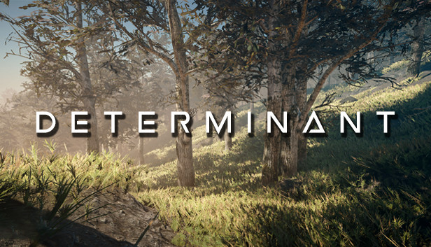 Determinant