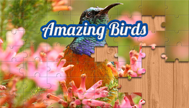 House of Jigsaw: Amazing Birds