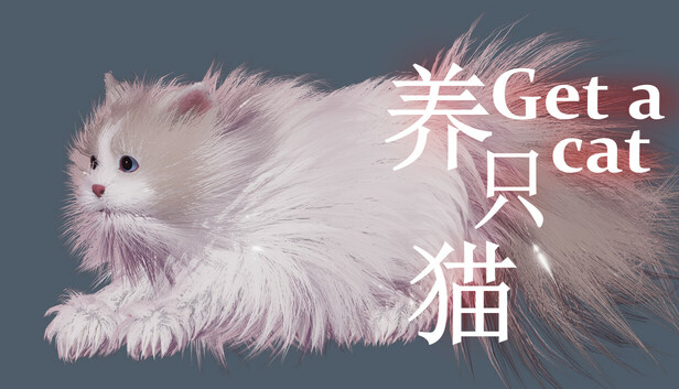 Get a cat
