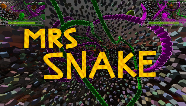 MRS SNAKE