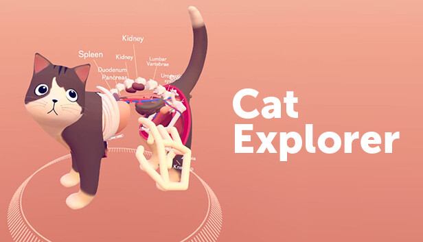 Ultraleap Gemini - Cat Explorer