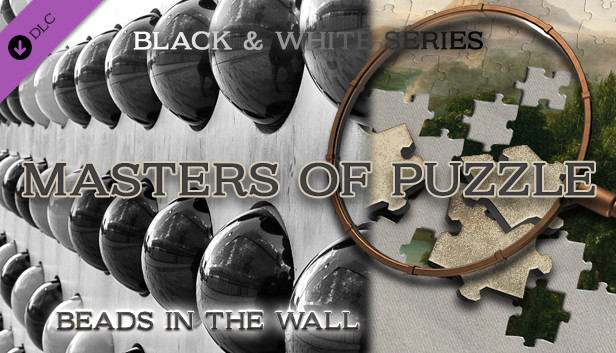 Masters of Puzzle - Black and White - Beads in the Wall