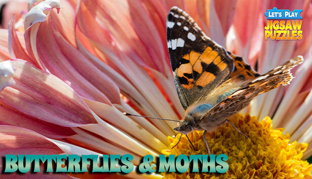 Let's Play Jigsaw Puzzles: Butterflies & Moths