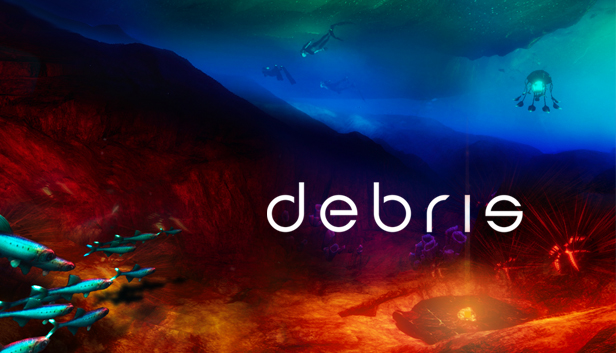 Debris