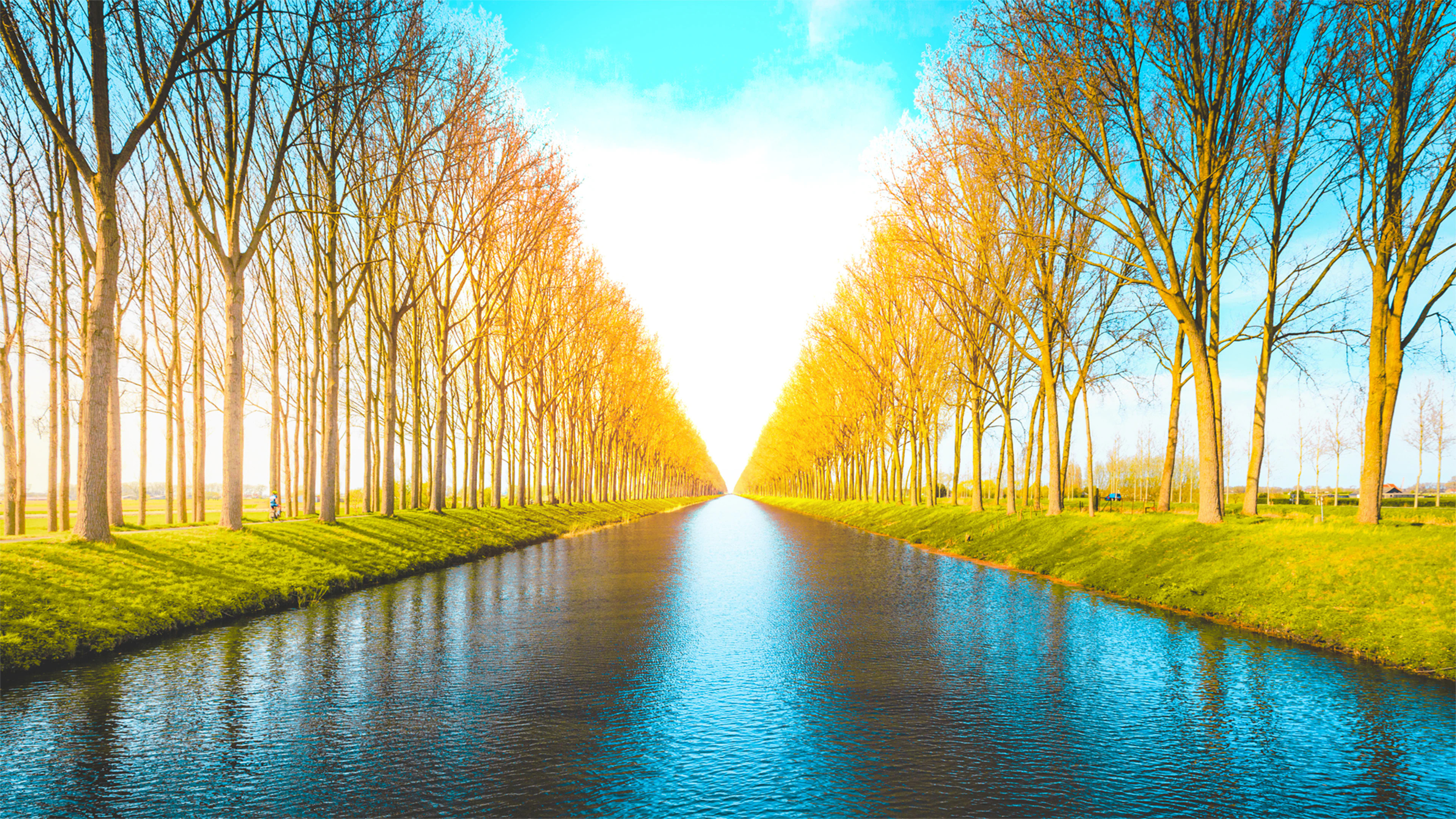 Just Find It Collector's Edition