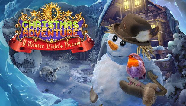 Christmas Adventures: A Winter Night's Dream