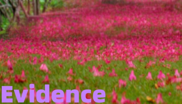 Evidence