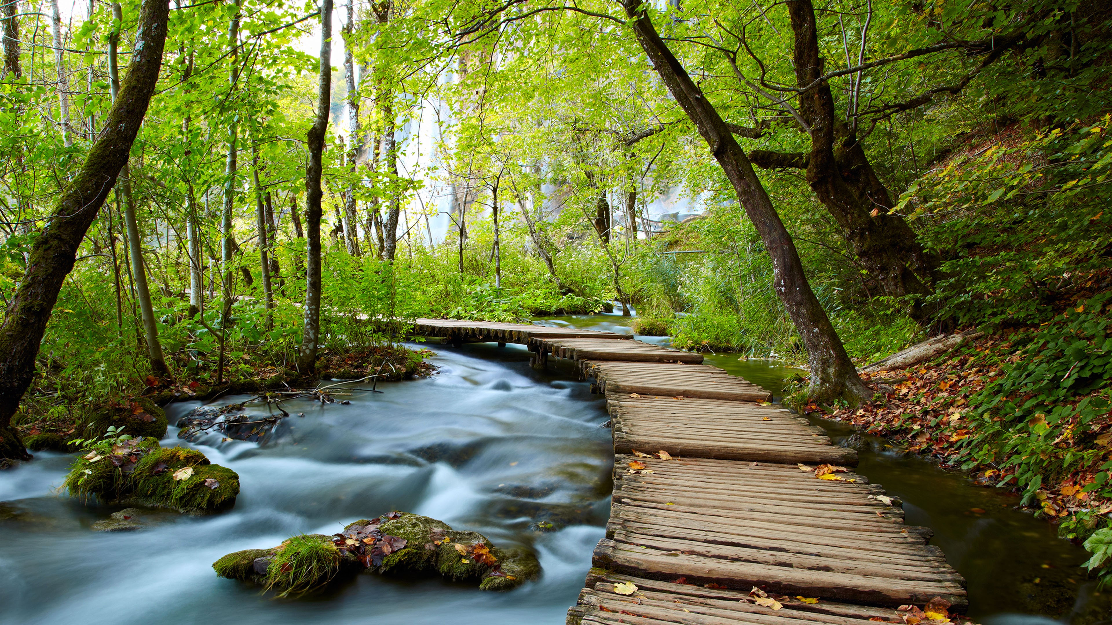 Nature Escapes 2 Collector's Edition