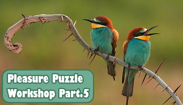 Pleasure Puzzle:Workshop - Part 5