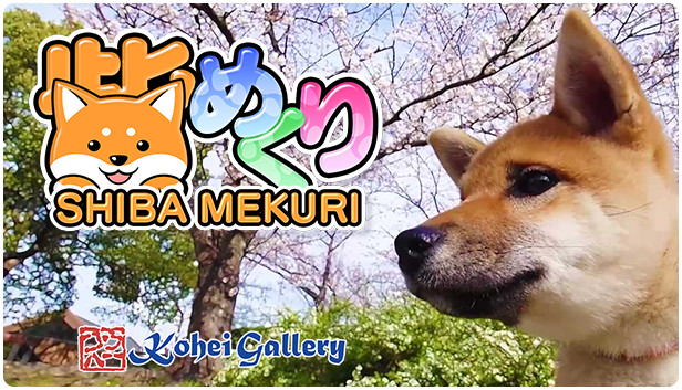 Shiba Mekuri 柴めくり