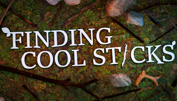 Finding Cool Sticks