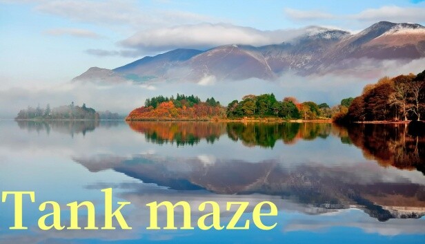 Tank maze